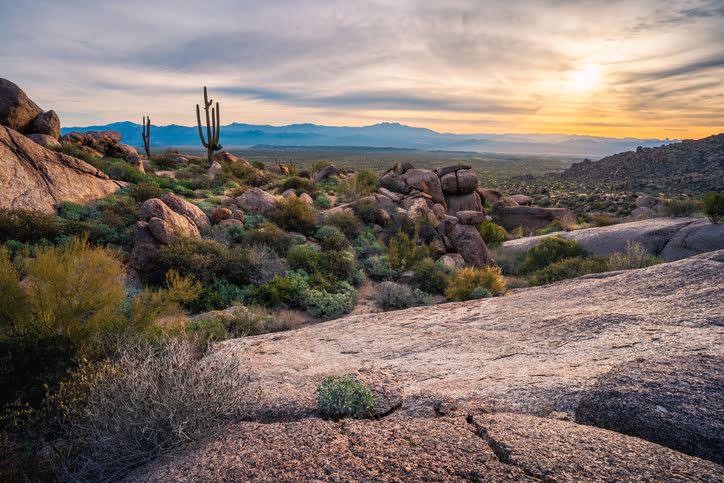 scottsdale, az